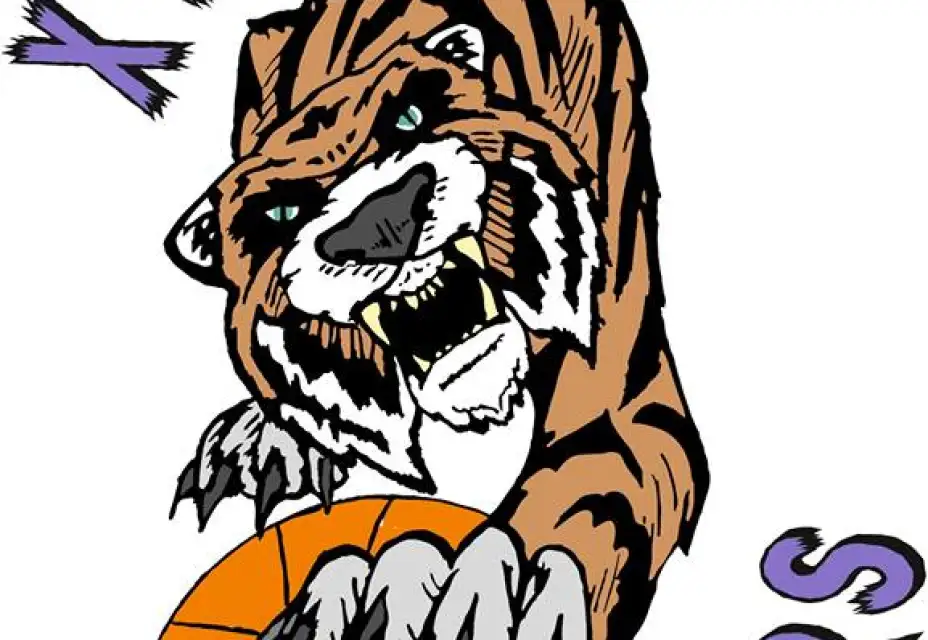 U19 B: Poslepovaná sestava na tygřice nestačila