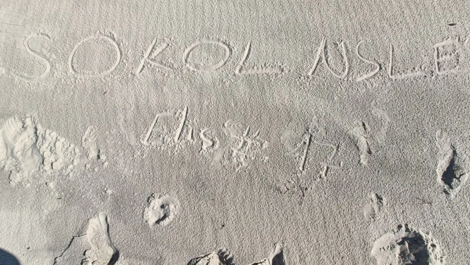 Letní pozdrav od SOKOL NUSLE BASKETBAL